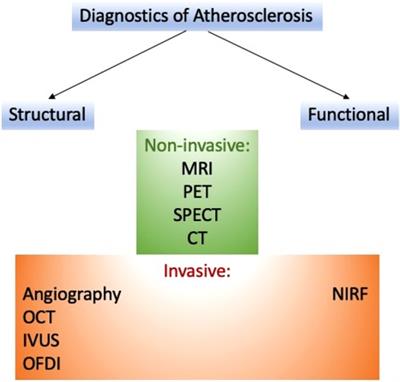 Diagnostics of atherosclerosis: Overview of the existing methods